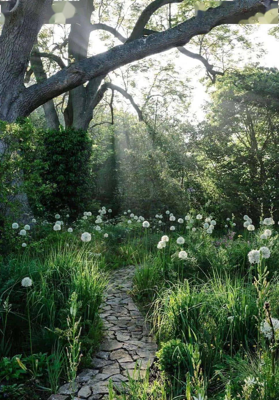 精选50款庭院小径踏出一地诗意