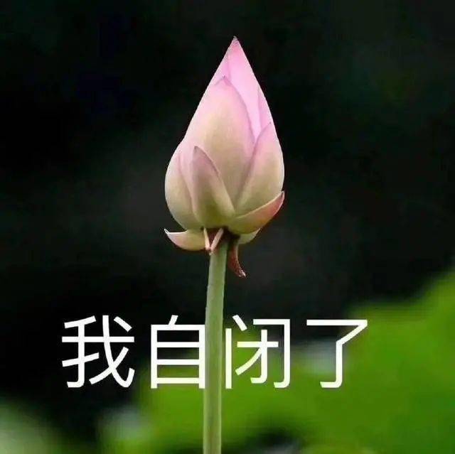 益肤|[10S小知识] 蓝光，到底伤肤还是益肤？