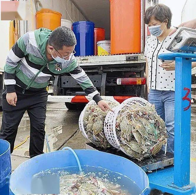 8月9日早晨,记者在辽渔国际水产品批发市场停车区看到,运输鲜活飞蟹的