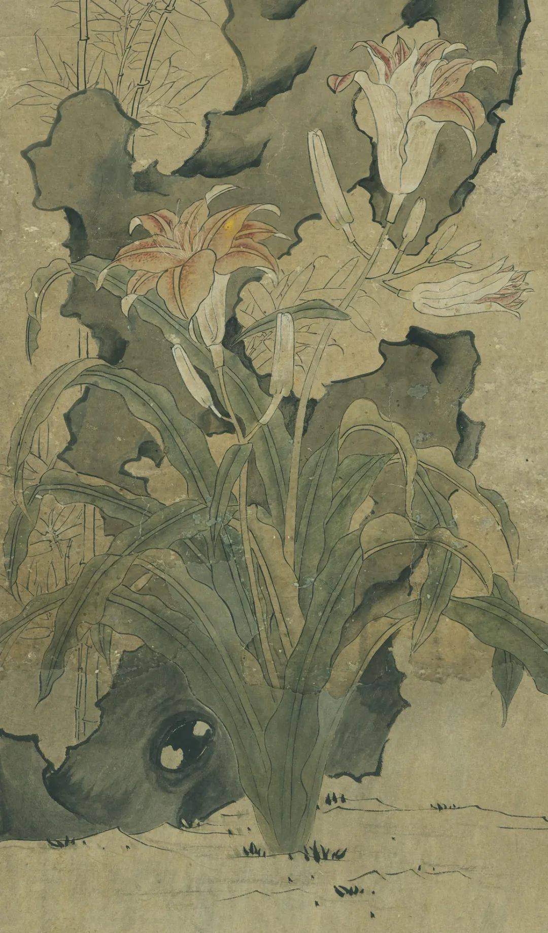 赏画陈洪绶寿萱图