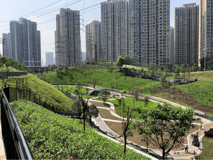 建设桑蚕公园实施高滩岩坡地绿化沙坪坝持续提升城市品质
