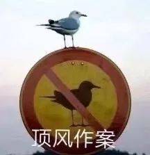 刘海|“烫个头回来连物种都变了？”哈哈哈哈托尼老师和你有仇吗