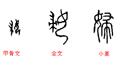 "男,女,爷,父,母,娘,姐,妹"的汉字来历,原来也这么有趣_甲骨文