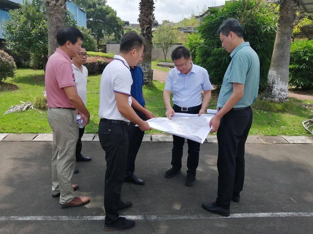 依法和谐征迁百日攻坚丨三明市领导调研市区挂钩征迁项目