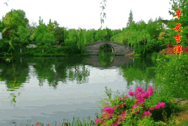 早安馨语这里风景独好养眼又养心