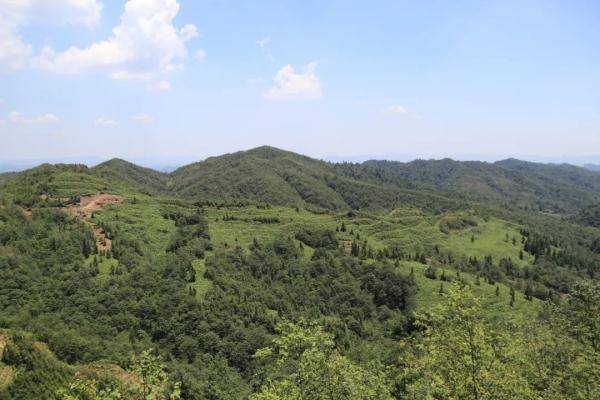 毕节国家森林公园白马山景区护好一片林吃上生态饭