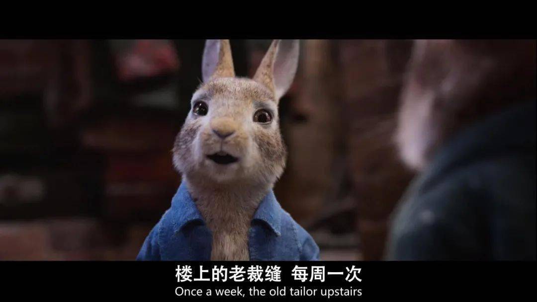 6.11公映【比得兔2:逃跑计划】为了追求自己的"兔"生意义