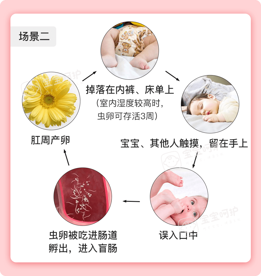 儿童蛲虫图片如何抓虫图片