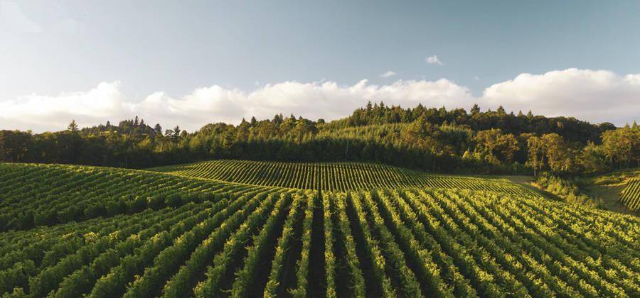 中国农业从智慧农业里来到数字农业里去未来可期