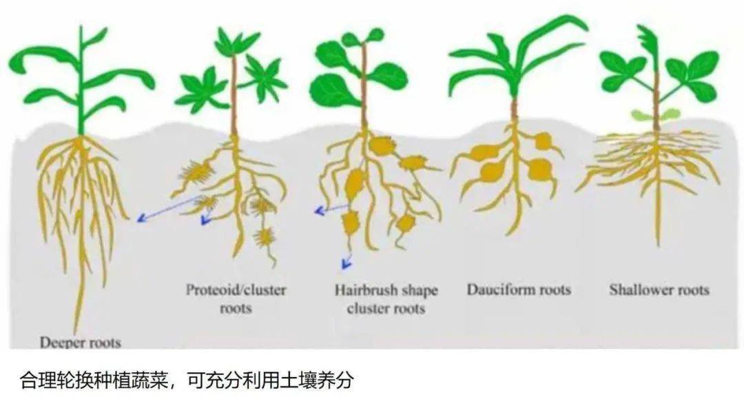 成语花什么木接_成语故事简笔画(5)