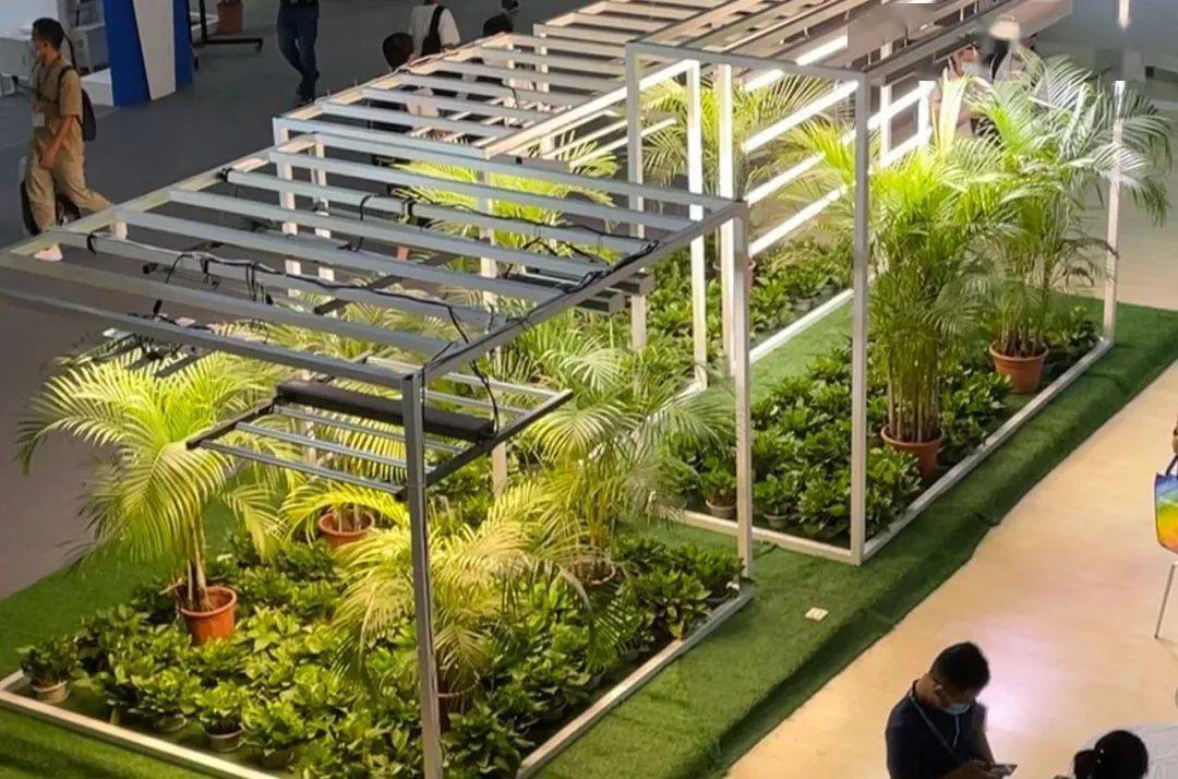 植物照明真有那么火又5家led照企有最新动作