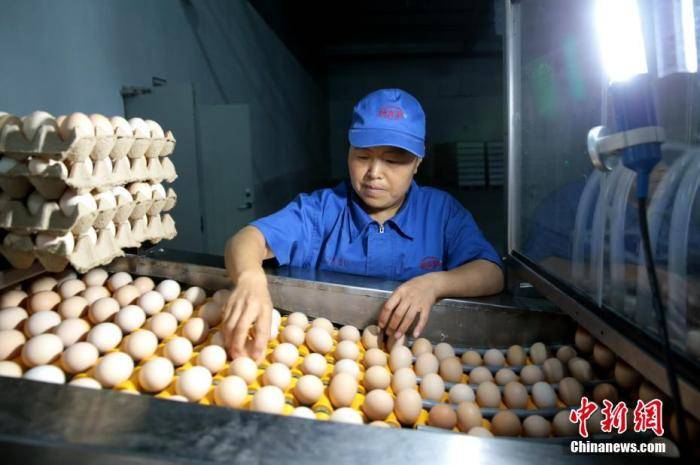 产量|一个月涨价约20% 中国鸡蛋价格缘何飞涨？