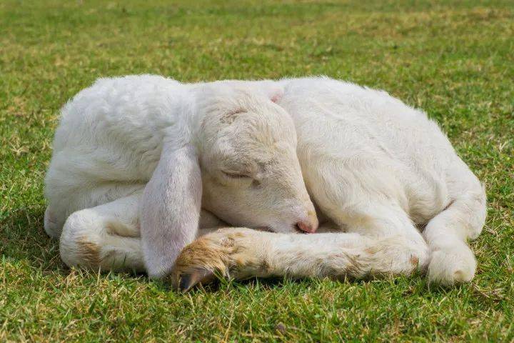 凯瑟琳|够了！别再只用“悬疑”来定义它！