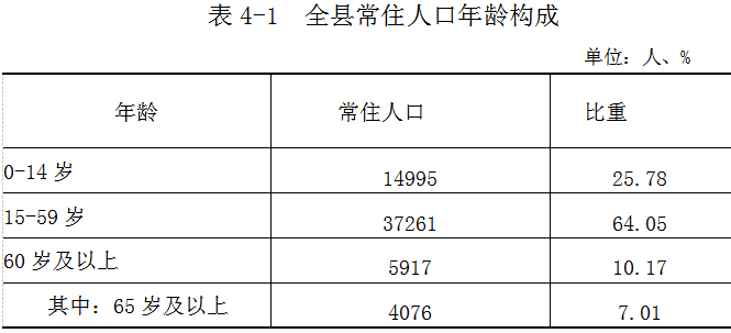 第七次全国人口普查的字_广西表彰第七次全国人口普查先进集体和先进个人(2)