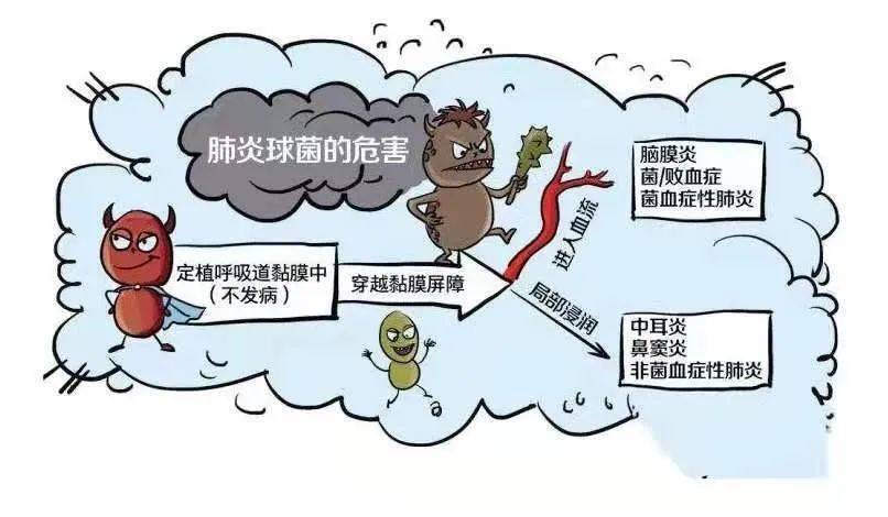 人传布病最突出的表现_人传染了布病的症状及治疗方法_人布病怎么治