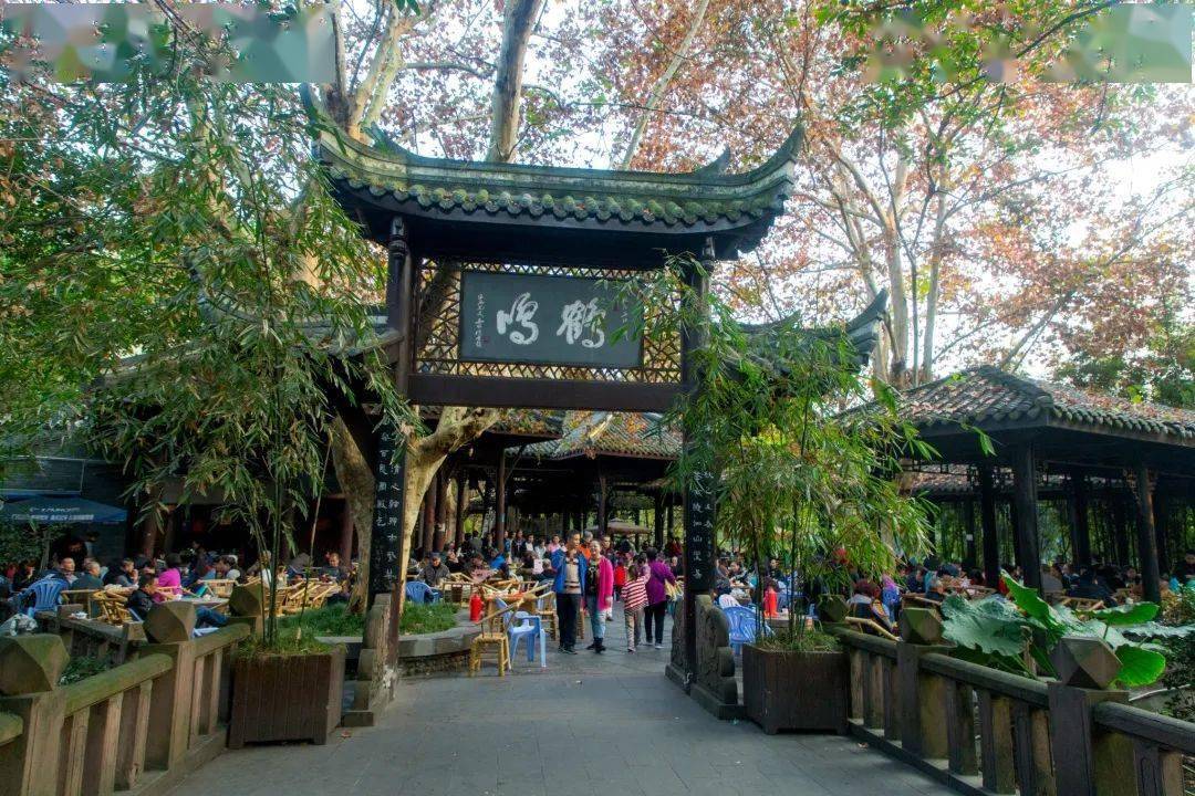 成都团建见闻二鹤鸣茶社锦城式慢生活