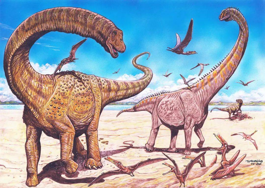 恐龙|黄沙百战穿金甲，不得巨龙终不还：中国科学家发现恐龙新物种