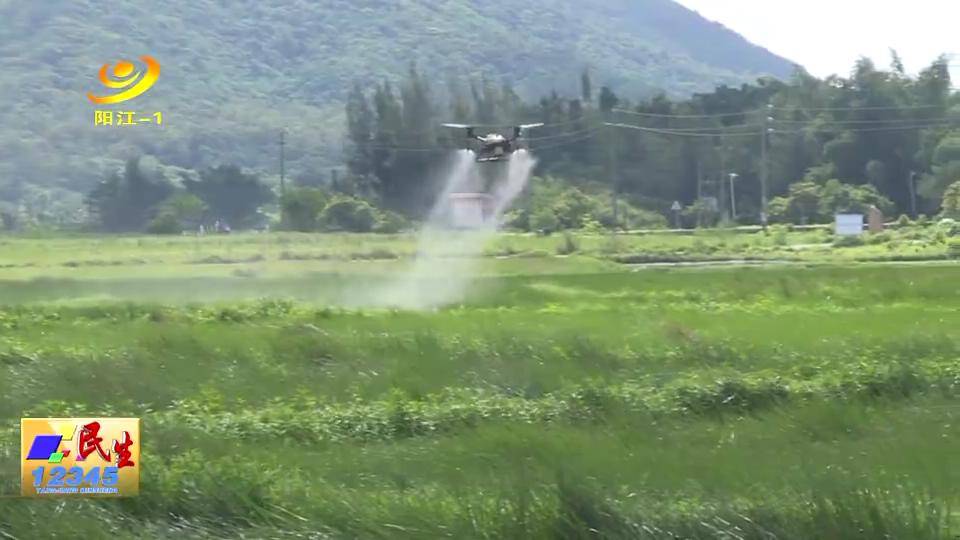 无人机|海陵：农民也用上了无人机