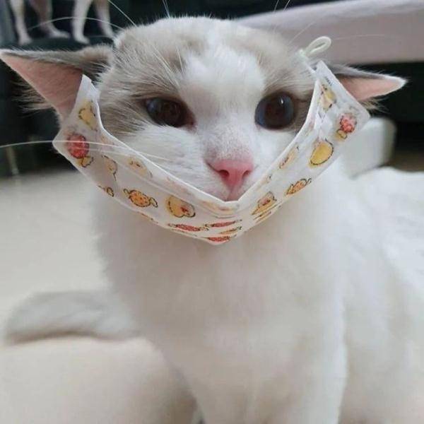 鼻子|广州疾控发布重要提醒：别这样戴口罩！