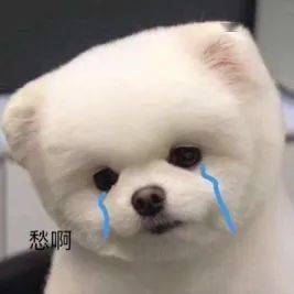 姐妹|深度解析 | 看了那么多搭配还是乱穿衣?一招彻底搞定穿衣的底层逻辑!