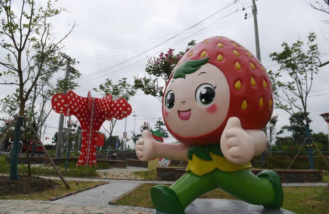 长丰是如何打造乡村采摘胜地的?_草莓