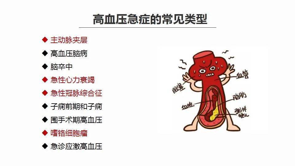 ppt老年患者高血压急症的血压管理