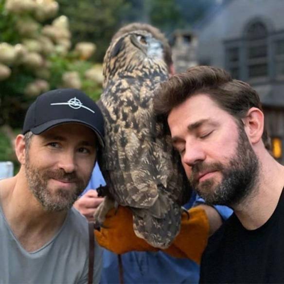 查宁|剧透警告！“贱贱”宣布《失控玩家》联动狼叔 美队