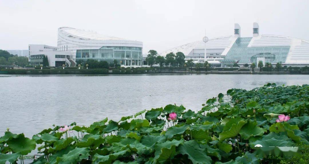 浙江大学 · 启真湖 · 雪阳印记 | 曲水流觞启真湖  魅力浙大紫金港