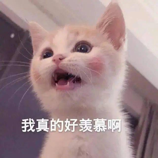 de5f6e1dc0804e62b82f63aa8039b42f.jpeg