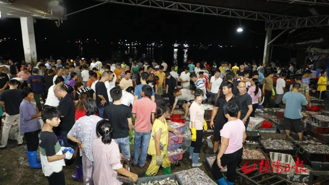 澳角鱼市丰富多样的海鲜鱼货为市民带来首捕归来的渔船惠来县神泉港