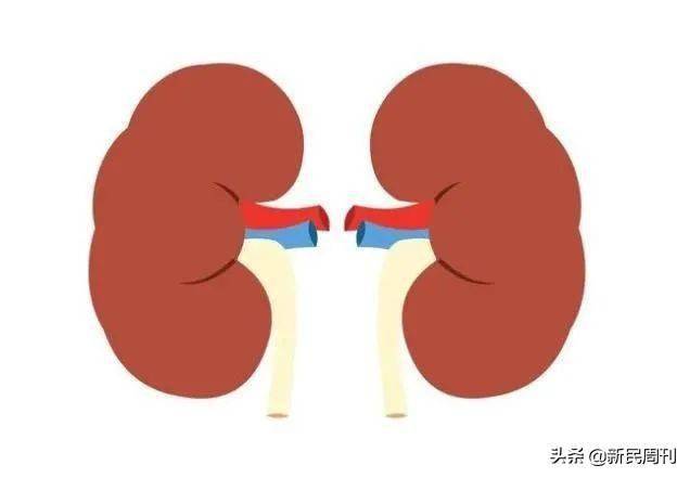 郁超|海狗丸是什么丸？壮阳壮的是什么阳？