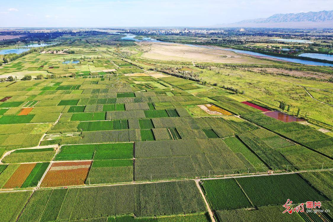 in|Pastoral scenery upon river banks of Heihe River in NW China's GansuProvince