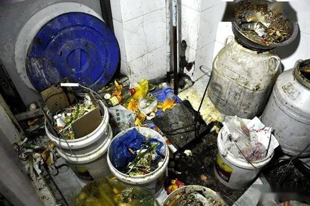 创卫在行动 | 太平街道这些餐馆卫生不达标