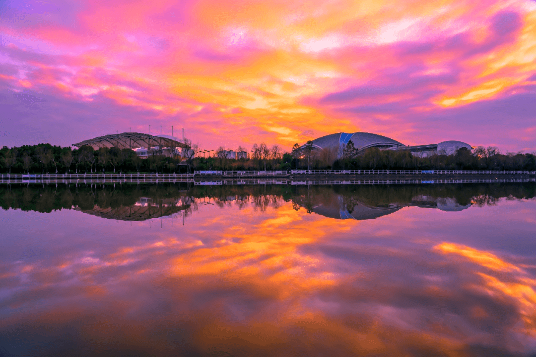 平湖市2021年上半年环境质量状况通报_嘉兴市