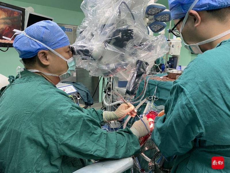 核心|七八年前生吞蛇胆不下十次，而今脑内长虫险些破坏核心功能