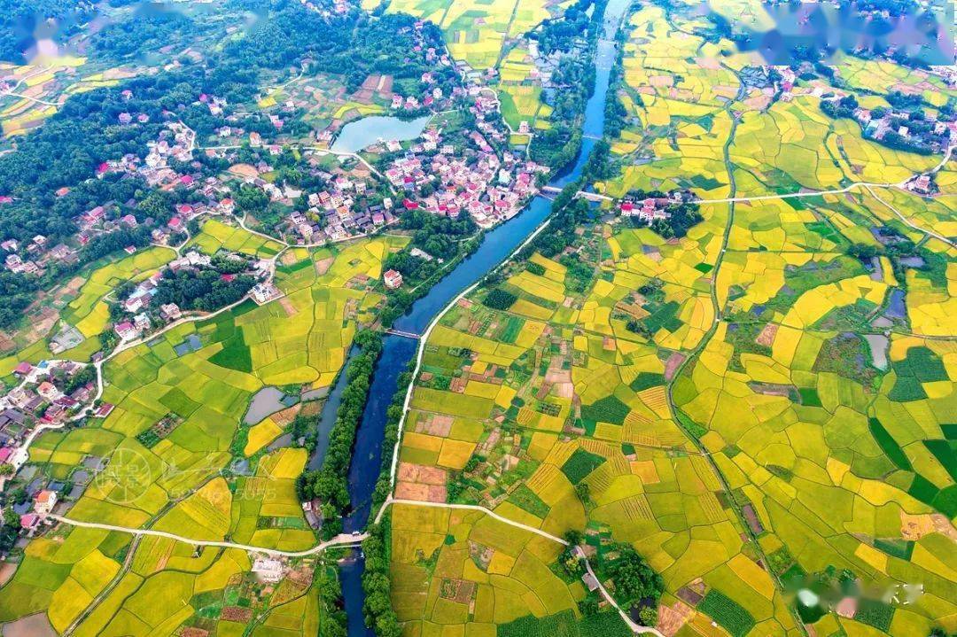 东安县鹿马桥镇金江村田园秋色