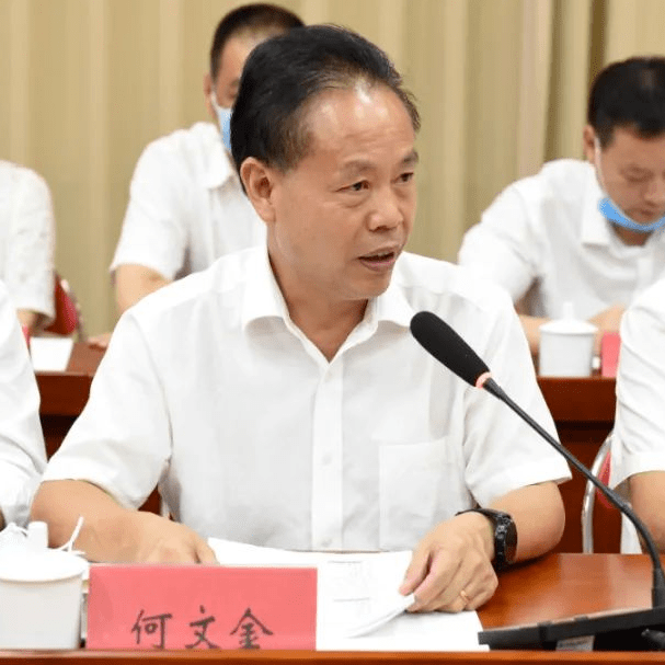 64市政府领导莫开奇作龙江流域综合整治工作情况报告会议听取了市