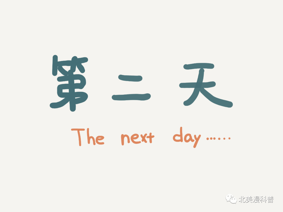 湾区中国码农图鉴我的骚操作你永远不懂