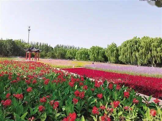 呈贡鲜花小镇开放了吗「七彩云南被封了吗」
