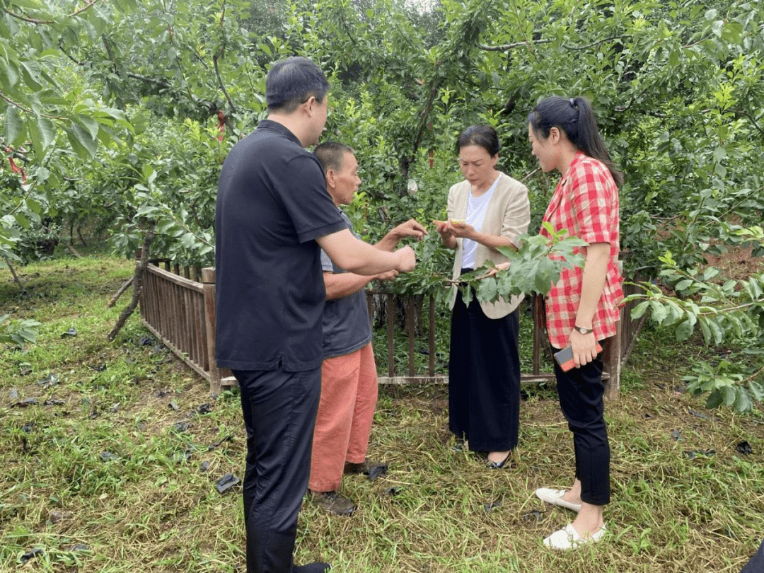 市人大常委会副主任李青调研我市特色农产品品牌建设及保护情况