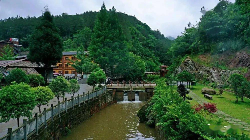 "森林 "五马归槽努力打造国家森林康养度假旅游目的地_宣汉县