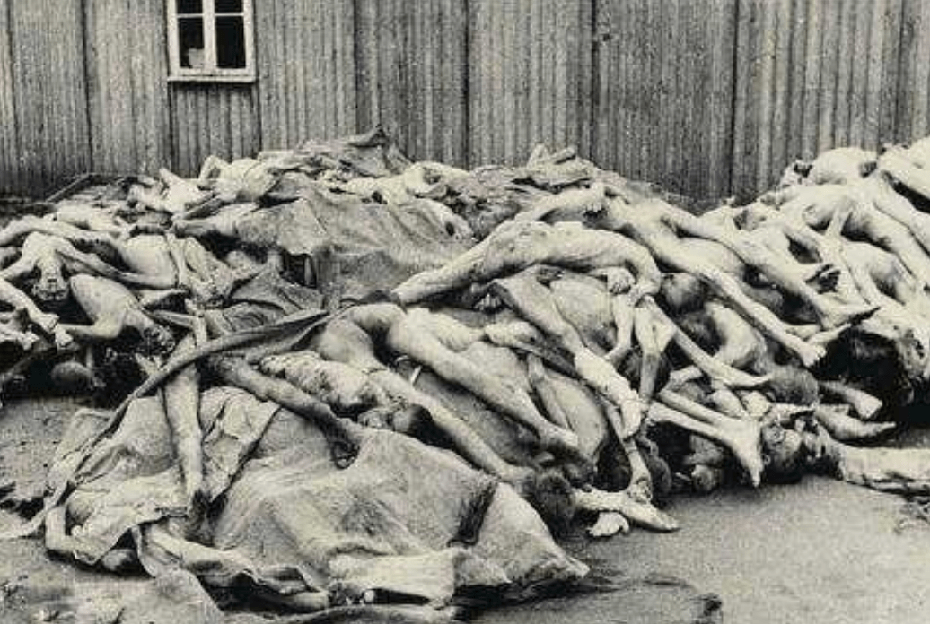 731部队恐怖照片图片