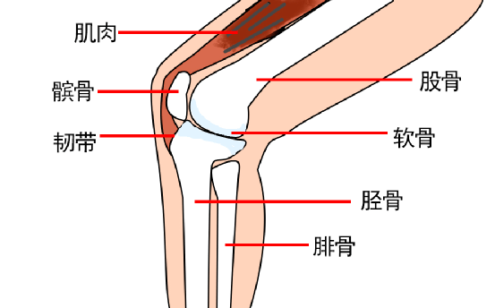 损伤|膝关节差点“报废”？医生说这些动作要不得！
