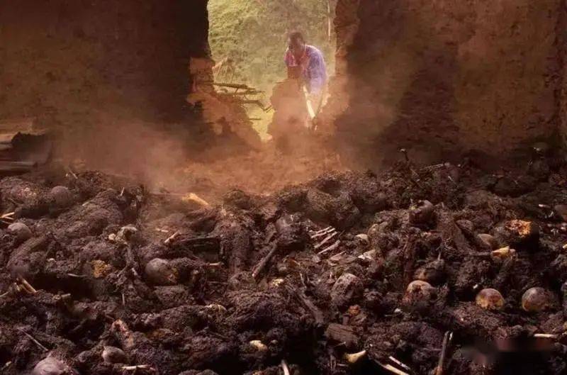 揭秘全球10大致命毒物