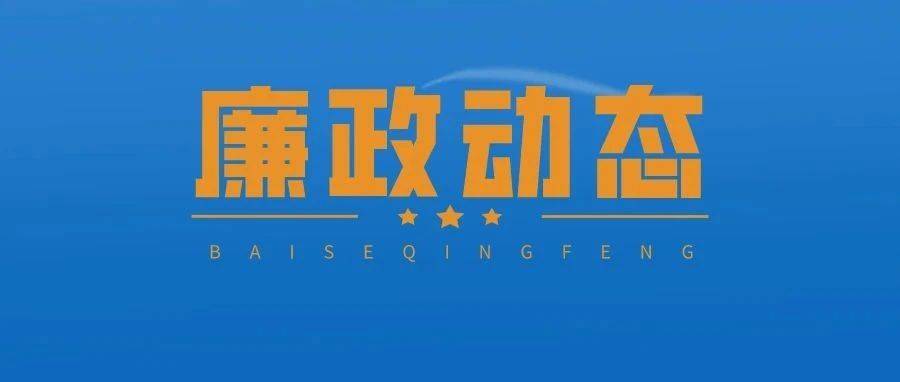 市纪检监察机关从严从实加强纪检监察干部队伍建设 监督