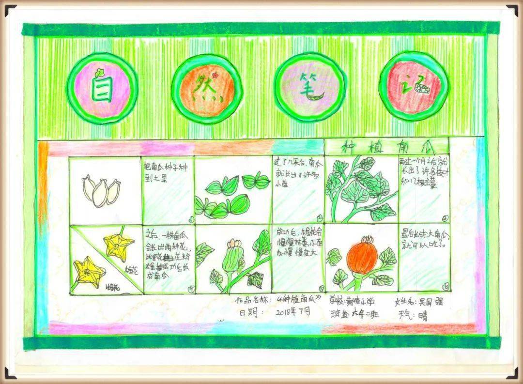 生物多样性看山西自然笔记大赛作品展二
