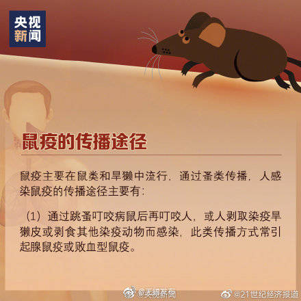 疫情|什么是鼠疫、如何预防鼠疫？