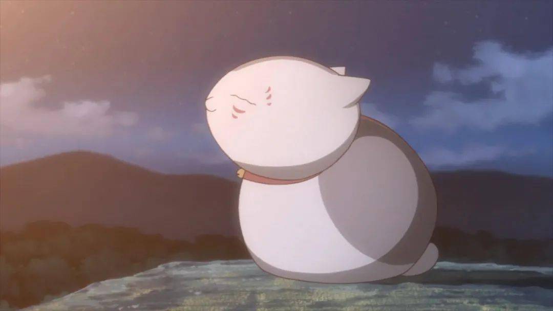 超可爱猫咪老师表情包芜湖开心到起飞