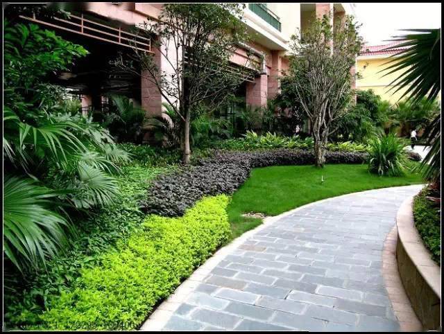 软景微地形植物配置护坡