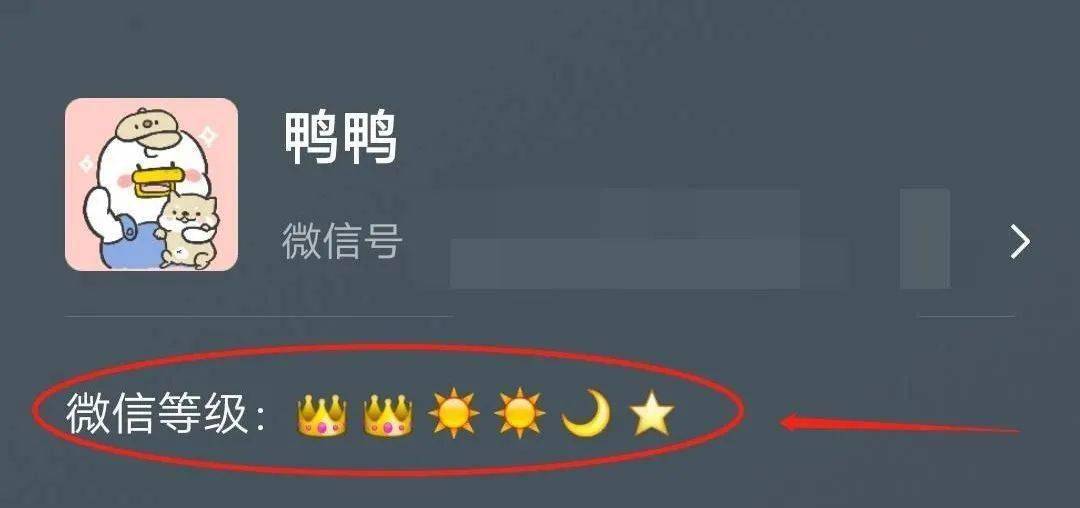微信终于有等级了两个皇冠也太厉害了吧